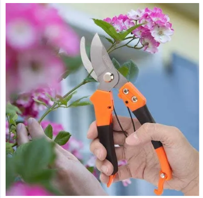 Picture of Shears Pruners Scissor Stainless Steel Gardening Tool Set with Garden Scissors, Pruning Seeds, Flower Cutter and Grass Cutter