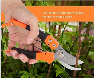 Picture of Shears Pruners Scissor Stainless Steel Gardening Tool Set with Garden Scissors, Pruning Seeds, Flower Cutter and Grass Cutter