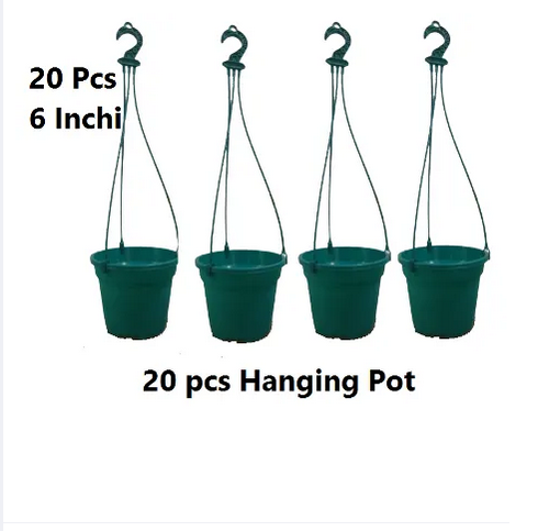 Picture of Hanging pot 20 Pcs,Size 6 Inchi