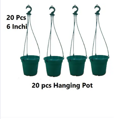 Picture of Hanging pot 20 Pcs,Size 6 Inchi