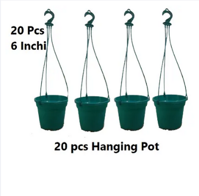 Picture of Hanging pot 20 Pcs,Size 6 Inchi
