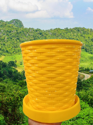 Picture of 7.5 inch Cane Planter With tray  1 pcs