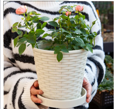 Picture of Planter Bamboo Resin Flower Pot7.5 inch Cane Planter With tray 1 pcs