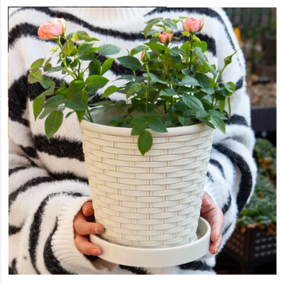 Picture of Planter Bamboo Resin Flower Pot7.5 inch Cane Planter With tray 1 pcs