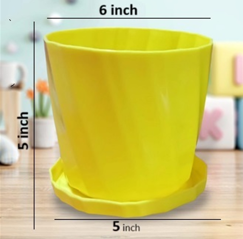 Picture of Camellia 6 Inchi planter with tray 4 pcs