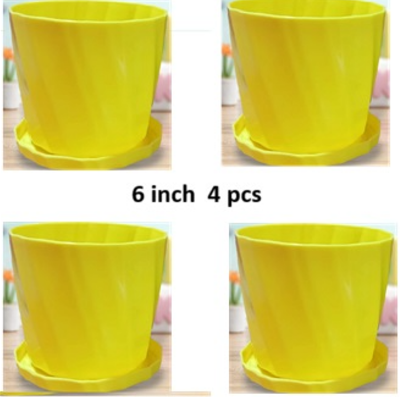 Picture of Camellia 6 Inchi planter with tray 4 pcs