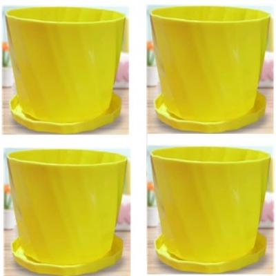 Picture of Camellia 6 Inchi planter with tray 4 pcs