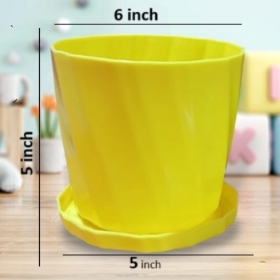 Picture of Camellia 6 Inchi planter with tray 4 pcs