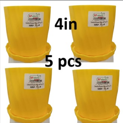 Picture of Camellia Planter virgin 4 inch with tray 5 pcs