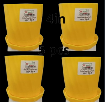 Picture of Camellia Planter virgin 4 inch with tray 5 pcs