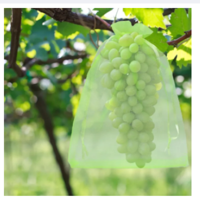 Picture of Grape Protection Bags,5 Pcs 40 x 30 cm, Reusable Fruit Protective Bags, Grape Protective Bags with Drawstring, Organza Bag, Garden Mesh Bag for Protection Against Birds, Wasps, Fruit Flies