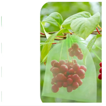 Picture of Grape Protection Bags,5 Pcs 40 x 30 cm, Reusable Fruit Protective Bags, Grape Protective Bags with Drawstring, Organza Bag, Garden Mesh Bag for Protection Against Birds, Wasps, Fruit Flies