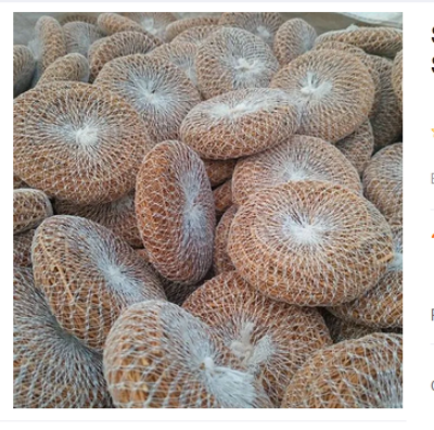 Picture of Scrubber Organic Round Shower Loofah & Bath Sponge - Body Brush