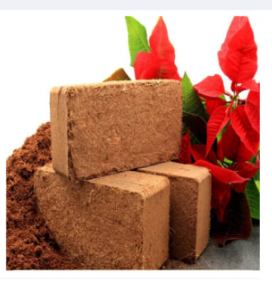 Picture of Coco Peat Block 2 KG Import Dry block Huge expanded block