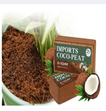 Picture of Coco Peat Block 2 KG Import Dry block Huge expanded block