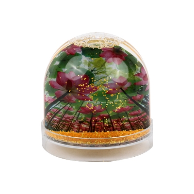 Picture of Candy Globe Glow Set