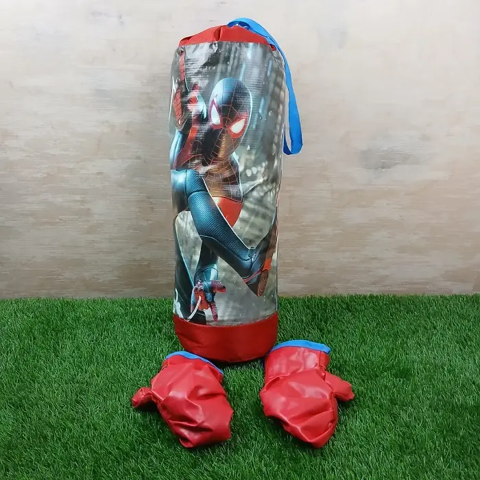 Picture of Kid's Boxing Bag & Gloves