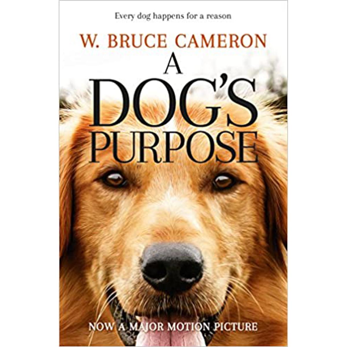 Picture of A Dog's Purpose Paperback – Bangladeshi Print