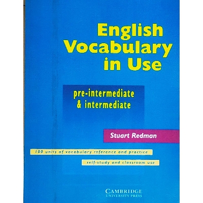 Picture of English Vocabulary In Use Pre Intermediate