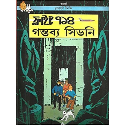 Picture of Flight 714 Gantabya Sidni