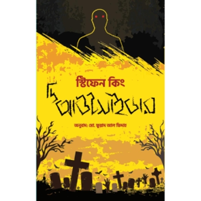 Picture of The outsider