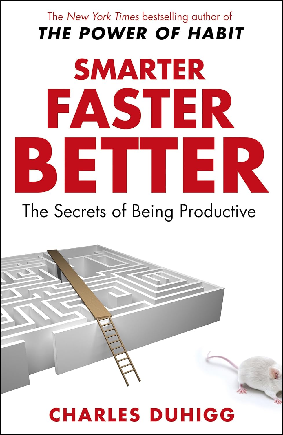 Picture of Smarter Faster Better (Paperback) Yellow Print