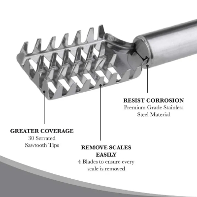 Picture of Stainless Steel Fish Scale Cleaner - Silver