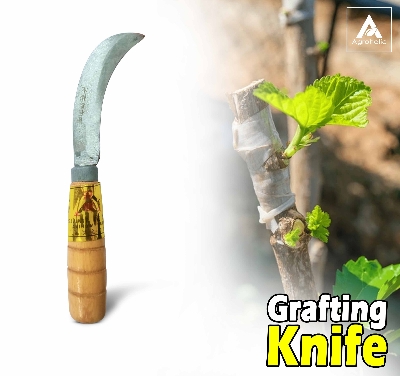 Picture of Grafting Knife Made in china 1 pcs