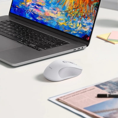 Picture of Baseus F02 Ergonomic Wireless Mouse（without Battery）