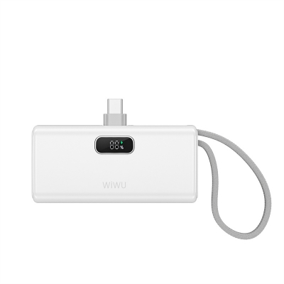 Picture of WIWU Wi-P044 Espresso 5000mAh Mini USB-C Power Bank