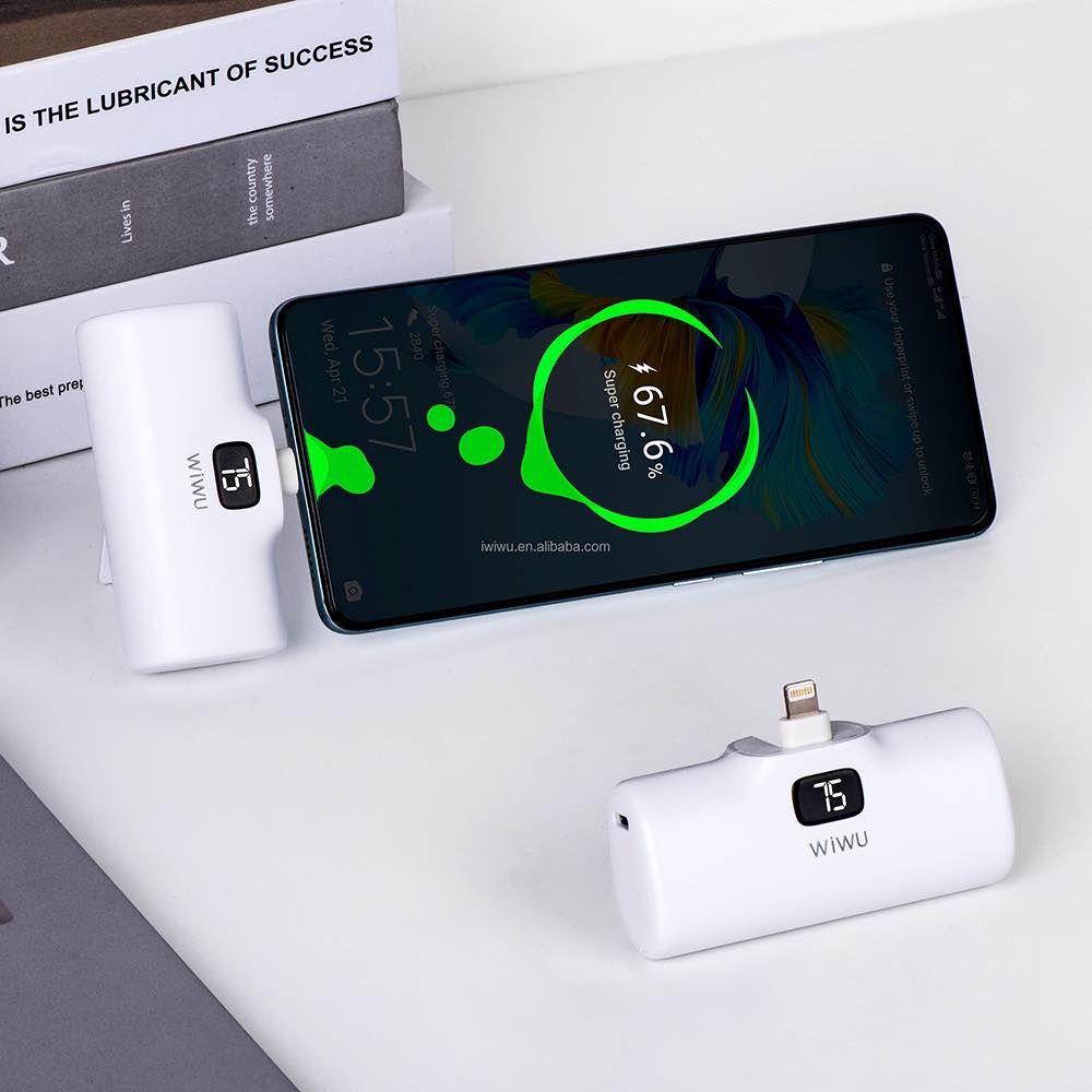 Picture of WiWU Wi-P017 Capsule Series 5000mAh 2-in-1 Lightning Power Bank