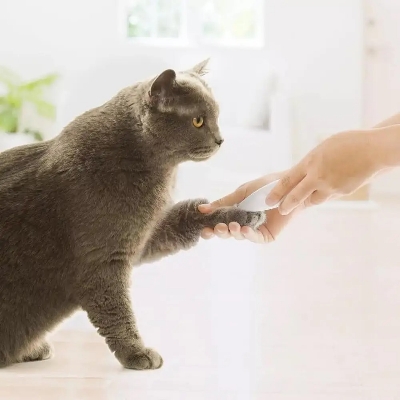 Picture of Pawbby Dog Cat Local Shaver Hair Trimmer Pet Grooming Tool Electrical Shearing Cutter Dog Haircut Paw Shaver Clipper