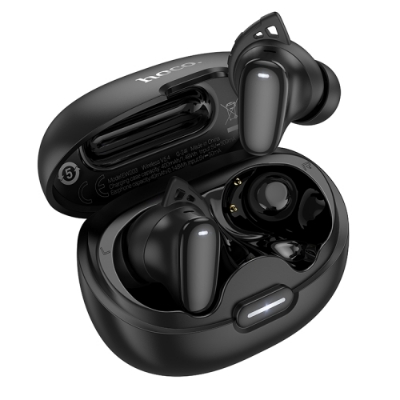 Picture of hoco EW203 Jinny True Wireless Sleep BT Earbuds(Black)