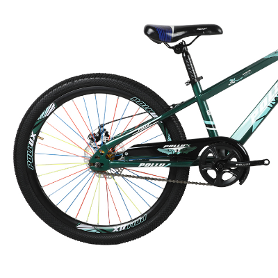 Buy China Pollux 20 inch Boys Mint Green & Dark Green Bicycle Online at Best Price in Bangladesh 