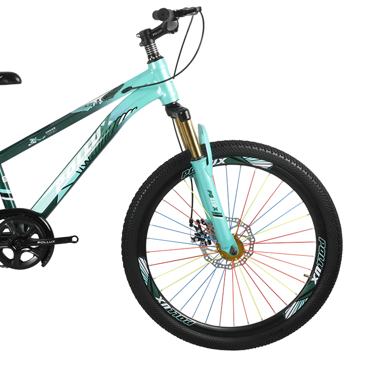 Buy China Pollux 24 inch Boys Mint Green & Dark Green Bicycle Online at Best Price in Bangladesh 