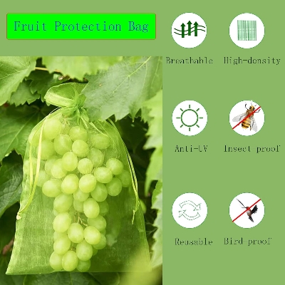 Picture of 15*20cm Plante Vegetable Netting Cover Fruit Protection Bags 10 Pcs