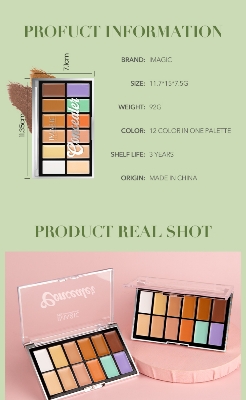 Picture of IMAGIC Professional-12Color Correction Palette.