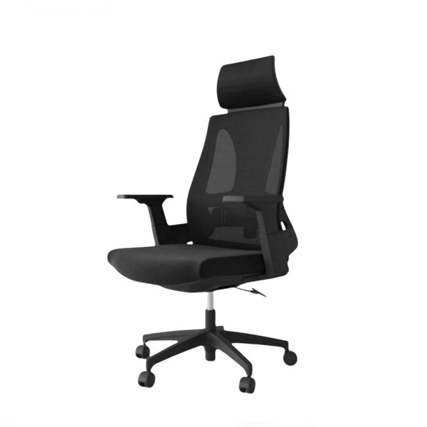 Buy director-chair-cds-146l-black at Best Price In Bangladesh