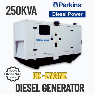 Perkins 250 kVA diesel generator with UK engine, Stamford alternator, and optional canopy or container design – suitable for industrial backup power.