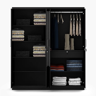 Picture of (Test Product) Furnisha  Furnisha 4 Door Almira with Inner Locker Drawer & Cloth Storage Shelve and  Hanger Storage Shelve