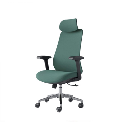 Buy  Omega Director Chair - CDS-A21 (Green) at Best Price In Bangladesh