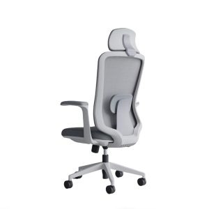Buy  Omega Director Chair - CDS-A21 (Green) at Best Price In Bangladesh