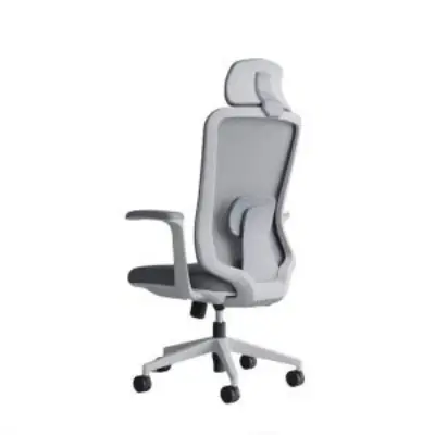Buy  Omega Director Chair - CDS-A21 (Green) at Best Price In Bangladesh