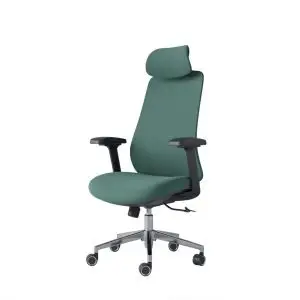 Buy  Omega Director Chair - CDS-A21 (Green) at Best Price In Bangladesh