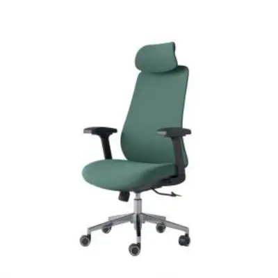 Buy  Omega Director Chair - CDS-A21 (Green) at Best Price In Bangladesh