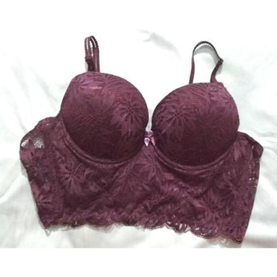 Picture of exclusive fashionable sexy Lace Push Up Bra and beachwear or night romactic wear for Women