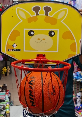 Picture of Professional Basket ball & Basket ring, Basket net set with ball Combo big size