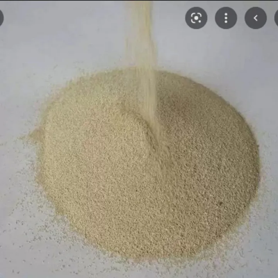 Picture of Active Dry Yeast 25ggm