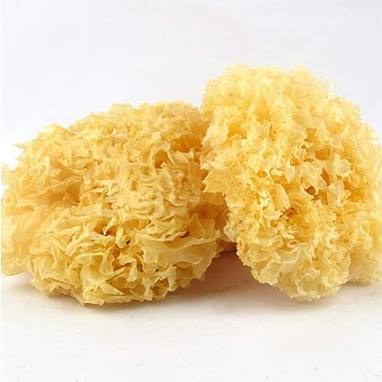 Picture of Big Whole Snow Fungi Mushroom Dried Tremella for Dessert 50gm