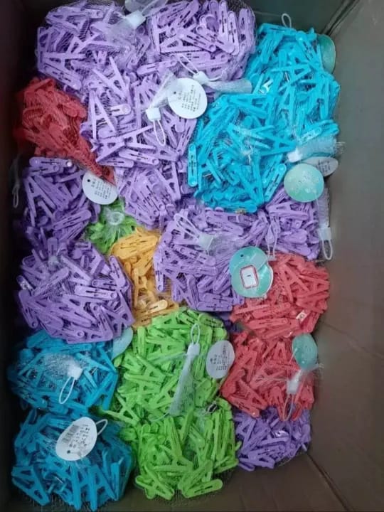 Picture of Cloth Clips 50pcs Packet-Multicolor